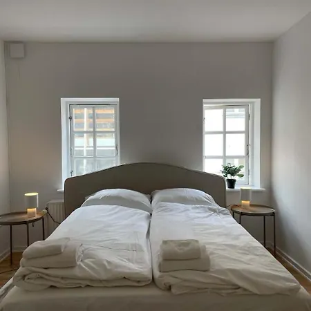 Lovely In Center Apartment Horsens